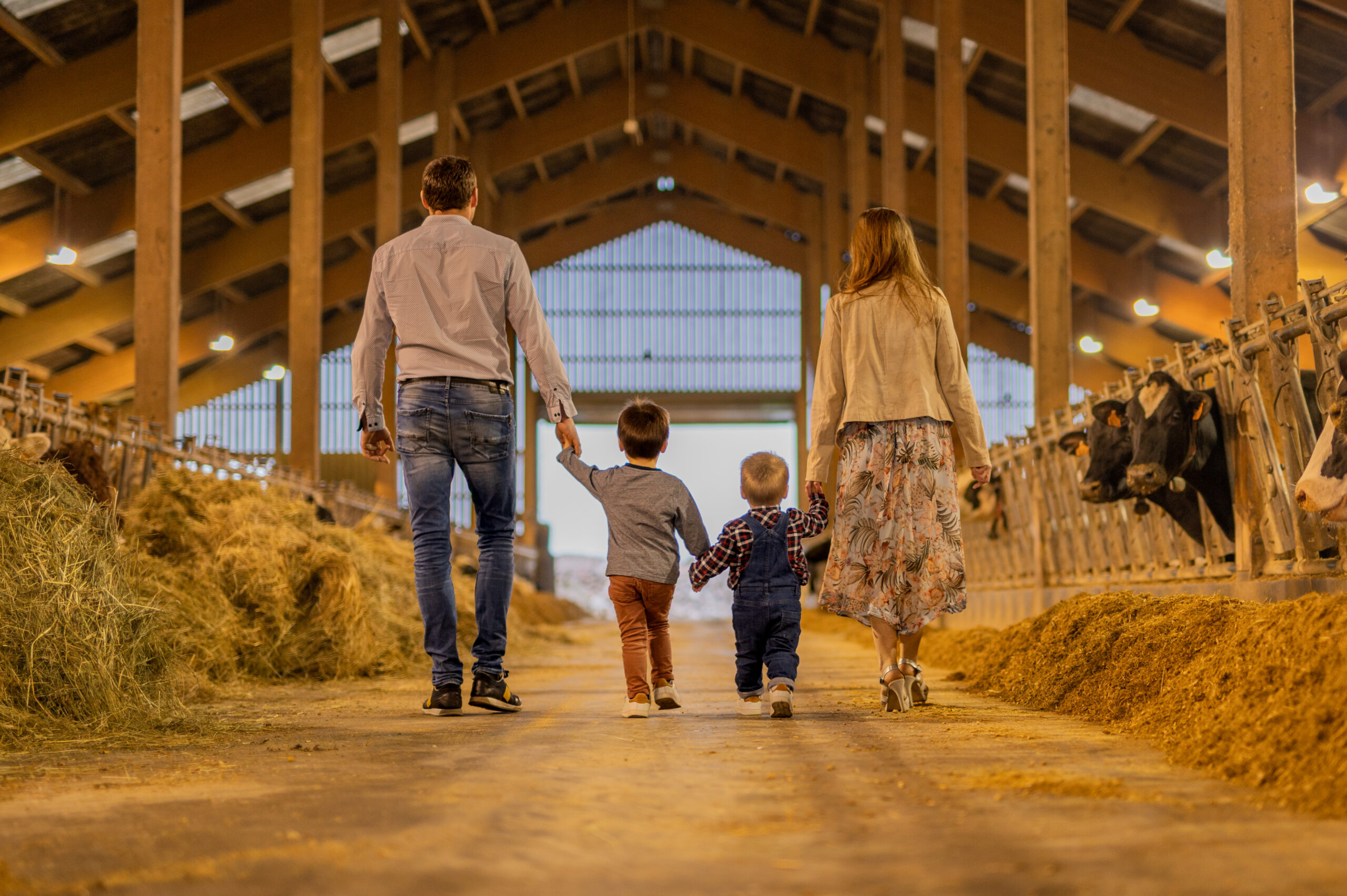 photo famille nombreuse grand est alsace lorraine photographe professionnelle naturelle extérieur originale fermier ferme vache animaux