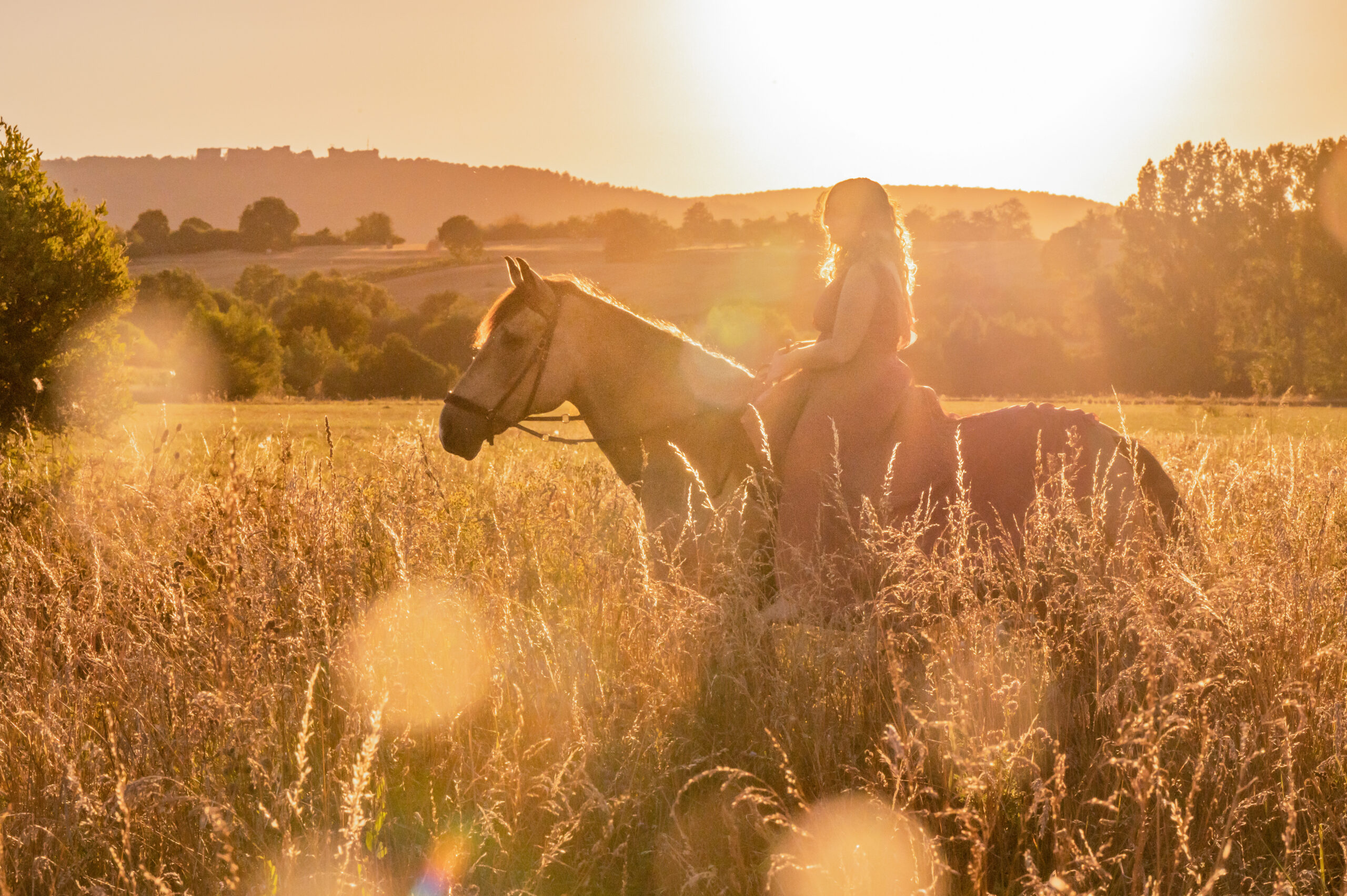 chevaux cheval photographe photo extérieur lieux insolites beauté chateau cascade original coucher de soleil