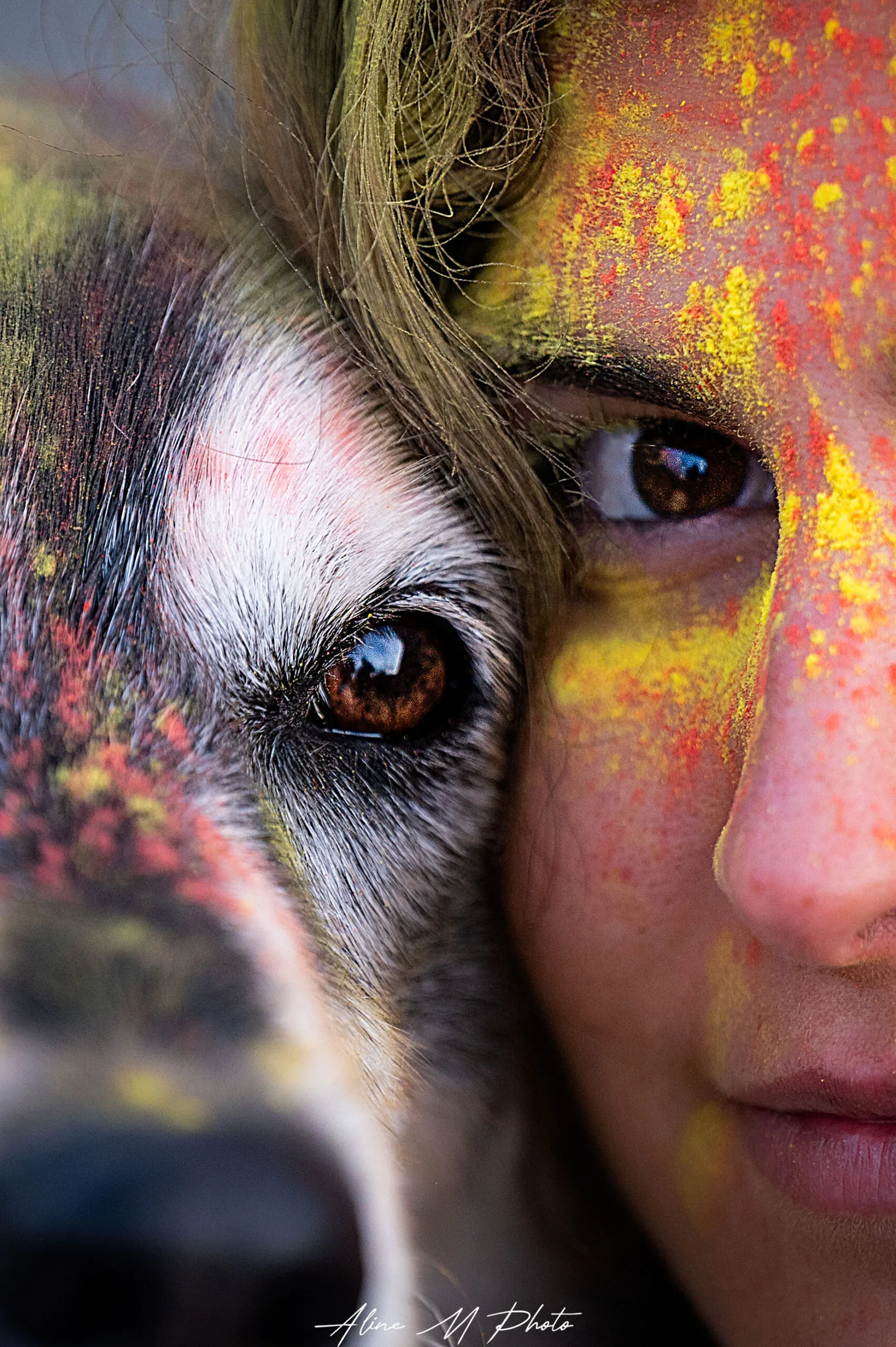 DSC_2861-Modifier photo photographie chien alsace lorraine saverne strasbourg bulle savon extérieur naturel fleur studio fond noir enfant chiot nancy metz portrait yeux montagne lac neige dehors nature poudre couleur craie powder