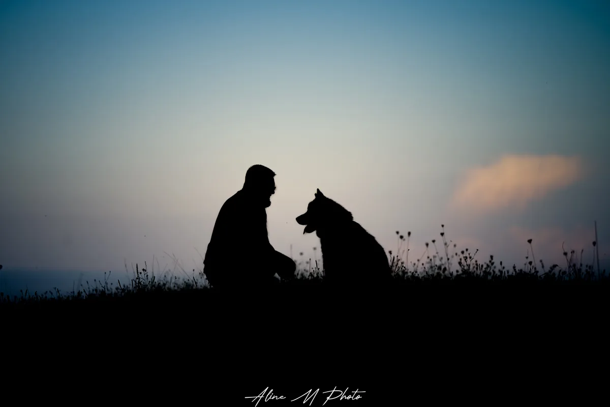 DSC_0434-Modifier